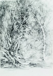 Exzentrisch verwachsen, 2017, Zeichnung, 21 x 30 cm