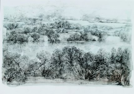 Vor Tulla, 2017, Zeichnung und Tusche, 35 x 28 cm